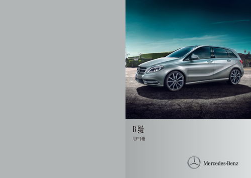 奔驰b级（奔驰b级保养包括什么）,奔驰b级（奔驰b级保养包括什么）,第2张