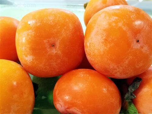 柿子叶的功效与作用(柿子的功效与作用及食用禁忌),第2张 柿子叶的功效与作用(柿子的功效与作用及食用禁忌),柿子叶的功效与作用(柿子的功效与作用及食用禁忌),第2张