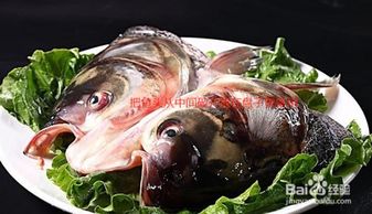 水煮鱼头的做法和步骤（水煮鱼头的做法和步骤窍门）,水煮鱼头的做法和步骤（水煮鱼头的做法和步骤窍门）,第3张