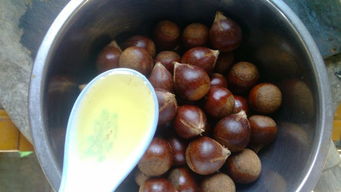 板栗煲汤的做法大全(板栗煲汤的做法大全家常做法),第2张 板栗煲汤的做法大全(板栗煲汤的做法大全家常做法),板栗煲汤的做法大全(板栗煲汤的做法大全家常做法),第2张