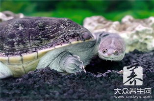 办公室装饰设计:根据原始题材设计,展示卷发器的恶劣影响,第3张 办公室装饰设计:根据原始题材设计,展示卷发器的恶劣影响,办公室装饰设计:根据原始题材设计,展示卷发器的恶劣影响,第3张