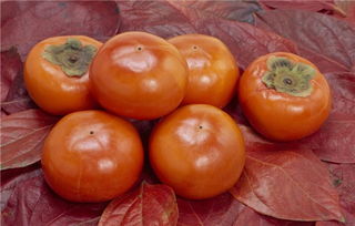 办公装修设计:漏电开关维护,保护您身体安全,第1张 办公装修设计:漏电开关维护,保护您身体安全,办公装修设计:漏电开关维护,保护您身体安全,第1张