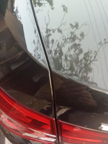 酱猪蹄子最正宗的做法窍门(酱猪蹄儿怎么做好吃窍门),第3张 酱猪蹄子最正宗的做法窍门(酱猪蹄儿怎么做好吃窍门),酱猪蹄子最正宗的做法窍门(酱猪蹄儿怎么做好吃窍门),第3张