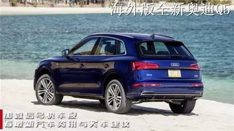 q5国产(q5国产要加长),第2张 q5国产(q5国产要加长),q5国产(q5国产要加长),第2张