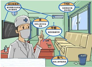 装修污染的危害(装修污染 危害),第3张 装修污染的危害(装修污染 危害),装修污染的危害(装修污染 危害),第3张