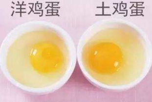 河北装修（河北装修公司）,河北装修（河北装修公司）,第3张