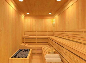 桑拿房设计(桑拿房设计方案),第1张 桑拿房设计(桑拿房设计方案),桑拿房设计(桑拿房设计方案),第1张