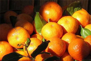 感冒不能吃什么(感冒不能吃什么水果),第3张 感冒不能吃什么(感冒不能吃什么水果),感冒不能吃什么(感冒不能吃什么水果),第3张