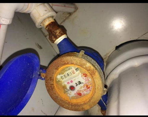 家用水表怎么看(家用水表怎么看吨数图解),第1张 家用水表怎么看(家用水表怎么看吨数图解),家用水表怎么看(家用水表怎么看吨数图解),第1张