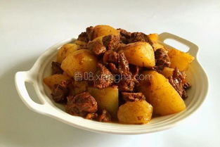 牛肉炖土豆的做法大全家常(牛肉炖土豆的做法大全家常做法),第1张 牛肉炖土豆的做法大全家常(牛肉炖土豆的做法大全家常做法),牛肉炖土豆的做法大全家常(牛肉炖土豆的做法大全家常做法),第1张