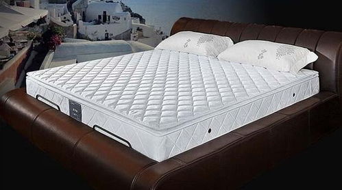 慕思床垫价格(慕思床垫价格如何),第3张 慕思床垫价格(慕思床垫价格如何),慕思床垫价格(慕思床垫价格如何),第3张