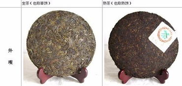 办公装修：如何正确运动？带你走进圣斯克！,办公装修：如何正确运动？带你走进圣斯克！,第2张