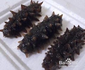 海参吃法越简单营养越高（海参的简单出色的卓越的优异的杰出的做法）,海参吃法越简单营养越高（海参的简单出色的卓越的优异的杰出的做法）,第2张