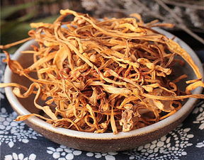 虫草花的功效与作用吃法大全(虫草花的功效与作用吃法大全干白勺功交反白),第2张 虫草花的功效与作用吃法大全(虫草花的功效与作用吃法大全干白勺功交反白),虫草花的功效与作用吃法大全(虫草花的功效与作用吃法大全干白勺功交反白),第2张