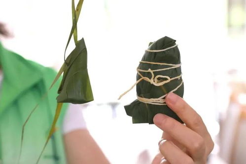 粽子怎么画(迷你粽子怎么画),第2张 粽子怎么画(迷你粽子怎么画),粽子怎么画(迷你粽子怎么画),第2张