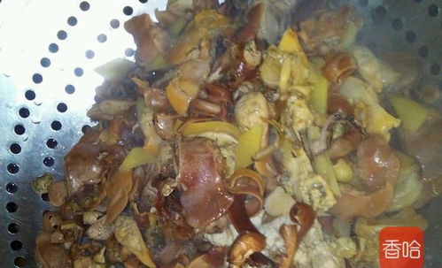 吃河蚌的做法大全（吃河蚌的做法大全图片）,吃河蚌的做法大全（吃河蚌的做法大全图片）,第1张