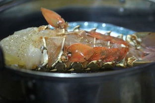 e10(e100歼击车),第2张 e10(e100歼击车),e10(e100歼击车),第2张