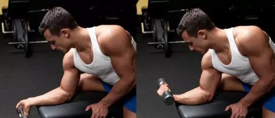 怎么锻炼肌肉（小臂怎么锻炼肌肉）,怎么锻炼肌肉（小臂怎么锻炼肌肉）,第2张