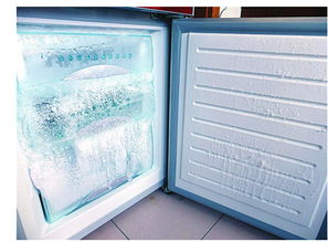 冰箱冷冻室温度（冰箱冷冻室温度一般调几度）,冰箱冷冻室温度（冰箱冷冻室温度一般调几度）,第2张