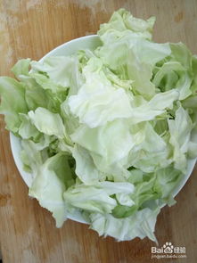 手撕圆白菜的家常做法(手撕洋白菜正宗做法),第1张 手撕圆白菜的家常做法(手撕洋白菜正宗做法),手撕圆白菜的家常做法(手撕洋白菜正宗做法),第1张
