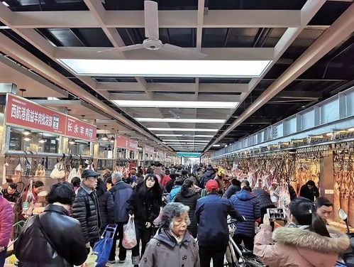 成都冻品批发市场(成都冻品批发市场哪个最大),第2张 成都冻品批发市场(成都冻品批发市场哪个最大),成都冻品批发市场(成都冻品批发市场哪个最大),第2张