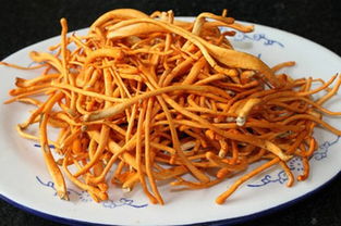 虫草花的功效(虫草花的功效与吃法),第3张 虫草花的功效(虫草花的功效与吃法),虫草花的功效(虫草花的功效与吃法),第3张