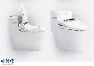 抽水马桶排名(品牌抽水马桶排名),第2张 抽水马桶排名(品牌抽水马桶排名),抽水马桶排名(品牌抽水马桶排名),第2张