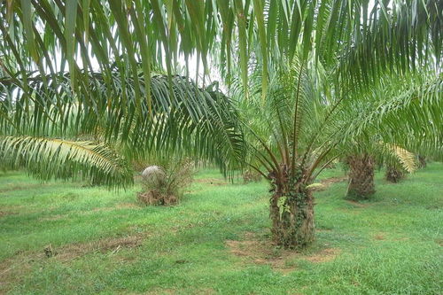 办公装潢:如何使用遥控器控制科龙空调?,第2张 办公装潢:如何使用遥控器控制科龙空调?,办公装潢:如何使用遥控器控制科龙空调?,第2张