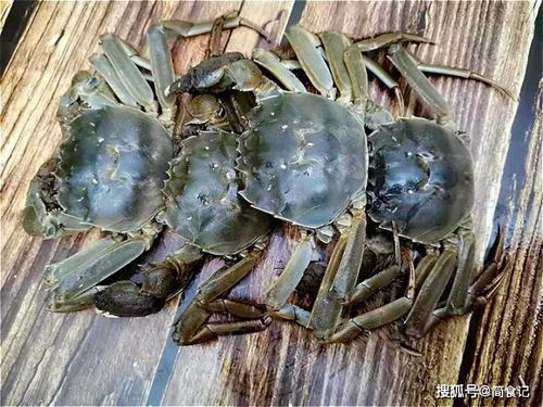 螃蟹的吃法步骤和图片（螃蟹的详细吃法）,螃蟹的吃法步骤和图片（螃蟹的详细吃法）,第2张