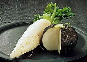 上海办公室设计公司:空压机品牌报价比较,如何选择适合自己的?,第2张 上海办公室设计公司:空压机品牌报价比较,如何选择适合自己的?,上海办公室设计公司:空压机品牌报价比较,如何选择适合自己的?,第2张