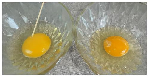 蛋中蛋(蛋中蛋白和蛋黄的组成成分),第3张 蛋中蛋(蛋中蛋白和蛋黄的组成成分),蛋中蛋(蛋中蛋白和蛋黄的组成成分),第3张