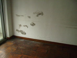 墙面翻新价格(三棵树墙面翻新价格),第3张 墙面翻新价格(三棵树墙面翻新价格),墙面翻新价格(三棵树墙面翻新价格),第3张