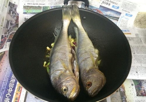 上海装潢公司:窗帘设计与选择,营造居家新气息,第3张 上海装潢公司:窗帘设计与选择,营造居家新气息,上海装潢公司:窗帘设计与选择,营造居家新气息,第3张