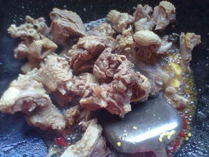 鹅肉干（鹅肉干的制作方法）,鹅肉干（鹅肉干的制作方法）,第3张