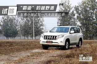 一汽丰田要多少钱（一汽丰田多少钱一辆越野）,一汽丰田要多少钱（一汽丰田多少钱一辆越野）,第3张