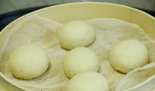 家常蒸馒头的做法(家常蒸馒头的做法和步骤),第2张 家常蒸馒头的做法(家常蒸馒头的做法和步骤),家常蒸馒头的做法(家常蒸馒头的做法和步骤),第2张