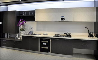 巨迪橱柜(巨迪橱柜和捷西橱柜哪个好),第2张 巨迪橱柜(巨迪橱柜和捷西橱柜哪个好),巨迪橱柜(巨迪橱柜和捷西橱柜哪个好),第2张