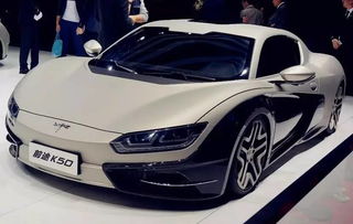 山寨电动汽车（国产杂牌电动汽车）,山寨电动汽车（国产杂牌电动汽车）,第1张