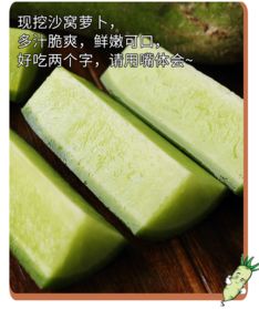 沙窝萝卜(沙窝萝卜是水果萝卜吗),第3张 沙窝萝卜(沙窝萝卜是水果萝卜吗),沙窝萝卜(沙窝萝卜是水果萝卜吗),第3张