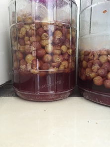 自制葡萄酒的做法(自制葡萄酒的做法视频教程),第3张 自制葡萄酒的做法(自制葡萄酒的做法视频教程),自制葡萄酒的做法(自制葡萄酒的做法视频教程),第3张