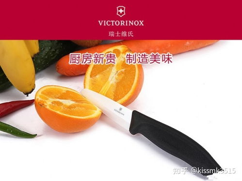 猪肚子怎么炖最营养(猪肚怎么煲汤最养脾胃),第3张 猪肚子怎么炖最营养(猪肚怎么煲汤最养脾胃),猪肚子怎么炖最营养(猪肚怎么煲汤最养脾胃),第3张