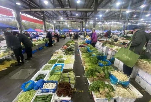 杭州菜市场价格(杭州菜市场价格走势),第1张 杭州菜市场价格(杭州菜市场价格走势),杭州菜市场价格(杭州菜市场价格走势),第1张