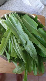 豆豉鱼炒油麦菜(豆豉鱼炒油麦菜图片),第3张 豆豉鱼炒油麦菜(豆豉鱼炒油麦菜图片),豆豉鱼炒油麦菜(豆豉鱼炒油麦菜图片),第3张