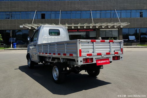 金杯海星图片(金杯海星t20单排),第1张 金杯海星图片(金杯海星t20单排),金杯海星图片(金杯海星t20单排),第1张