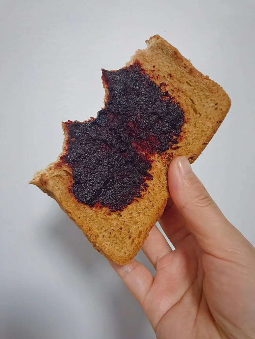 桑葚膏的功效与作用及价格(桑葚膏的功效与副作用),第1张 桑葚膏的功效与作用及价格(桑葚膏的功效与副作用),桑葚膏的功效与作用及价格(桑葚膏的功效与副作用),第1张