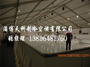 溜冰场设计(溜冰场设计公司),第2张 溜冰场设计(溜冰场设计公司),溜冰场设计(溜冰场设计公司),第2张