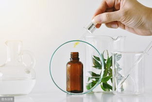 上海写字楼装修公司:松江二手房大数据分析:房价与交通因素的影响,第3张 上海写字楼装修公司:松江二手房大数据分析:房价与交通因素的影响,上海写字楼装修公司:松江二手房大数据分析:房价与交通因素的影响,第3张