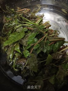 凉拌香椿的做法(凉拌香椿做法 春天),第1张 凉拌香椿的做法(凉拌香椿做法 春天),凉拌香椿的做法(凉拌香椿做法 春天),第1张