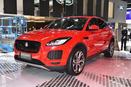 jaguar(jaguar是虎还是豹),第1张 jaguar(jaguar是虎还是豹),jaguar(jaguar是虎还是豹),第1张