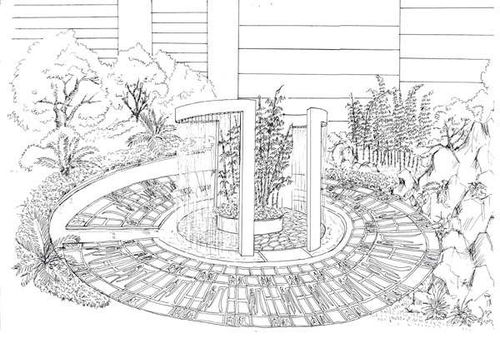 茴香菜的做法家常做法（茴香菜如何做）,茴香菜的做法家常做法（茴香菜如何做）,第3张
